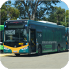 Adelaide Metro zero emission buses